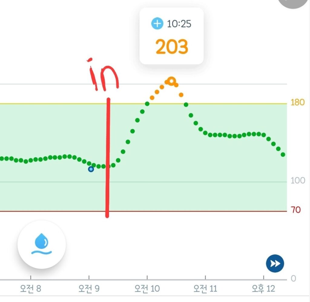 오무라이스 혈당 실험 결과 그래프